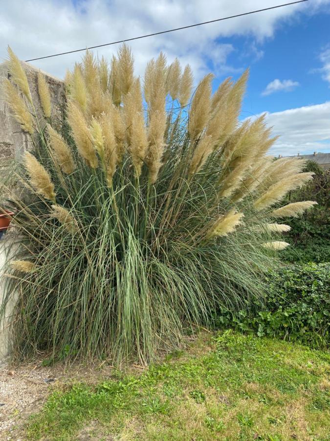 Picauville Gite Du Bois Pennier, Au Calme , A 15 Km Des Plages Du Debarquement מראה חיצוני תמונה
